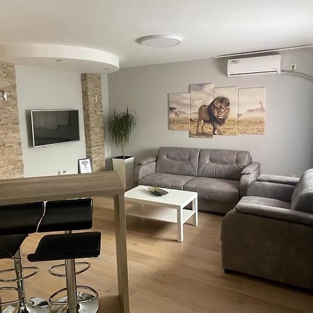 Leo Apartment Nis Bagian luar foto