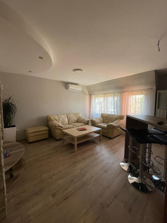 Leo Apartment Nis Bagian luar foto