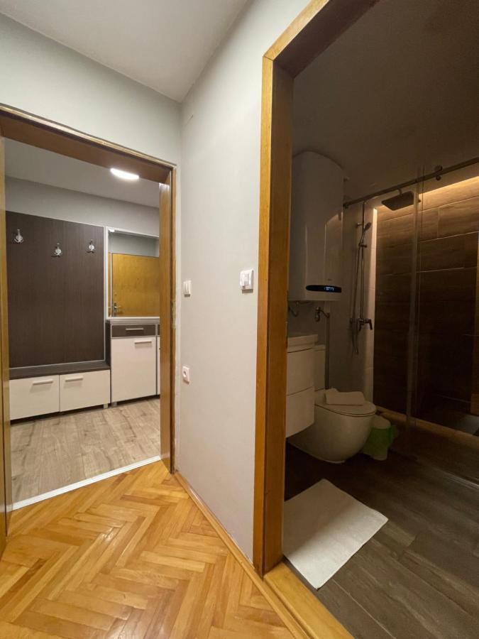 Leo Apartment Nis Bagian luar foto