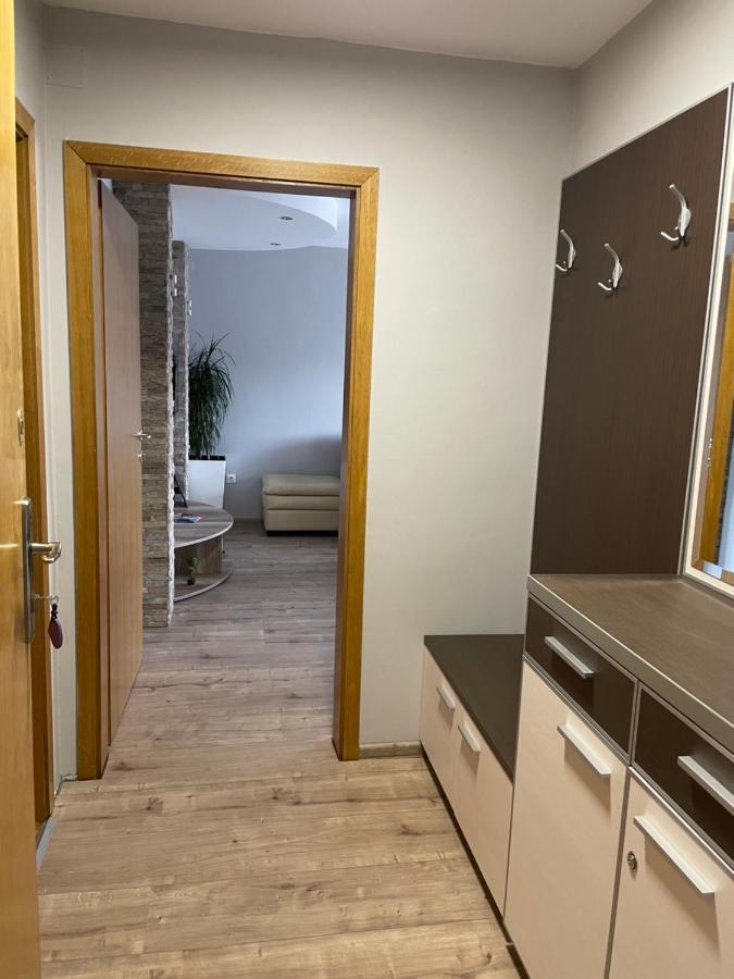 Leo Apartment Nis Bagian luar foto