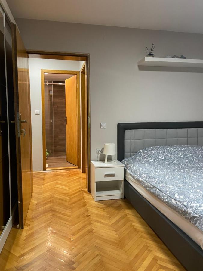 Leo Apartment Nis Bagian luar foto