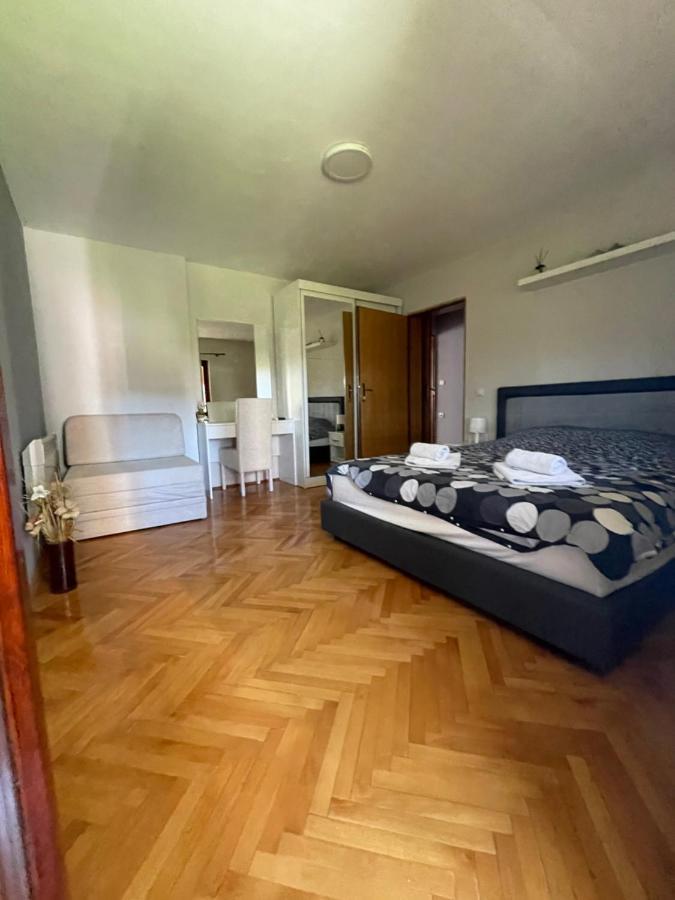 Leo Apartment Nis Bagian luar foto