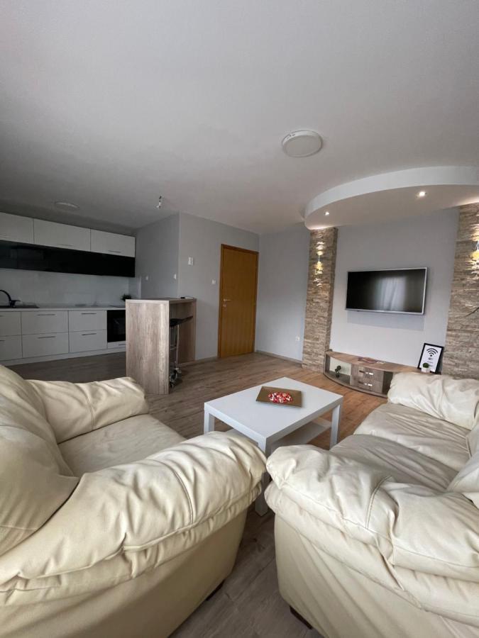 Leo Apartment Nis Bagian luar foto