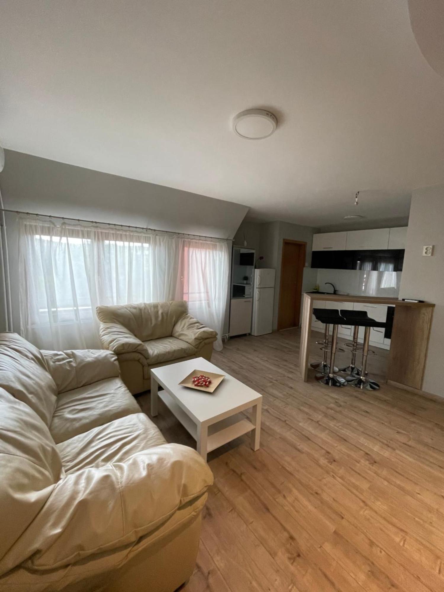 Leo Apartment Nis Bagian luar foto