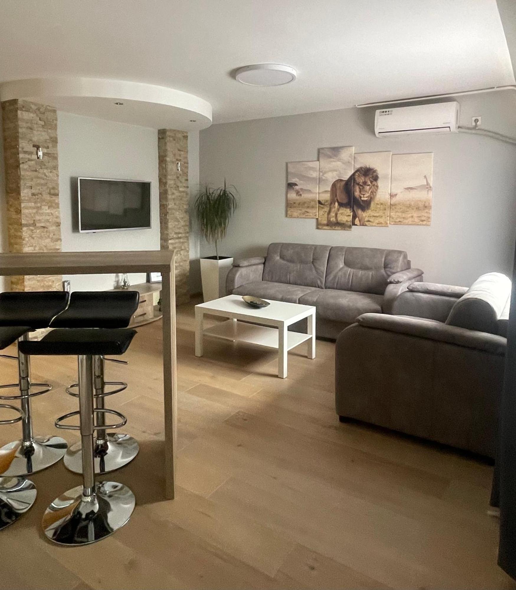 Leo Apartment Nis Bagian luar foto